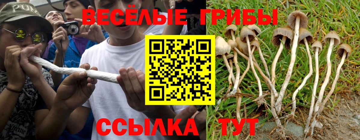 Галлюциногенные грибы MAGIC MUSHROOMS  Вход с VPN  Елабуга 