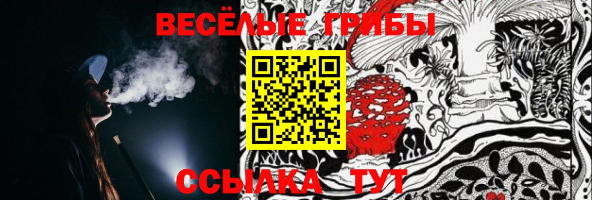 Галлюциногенные грибы Psilocybine cubensis Елабуга